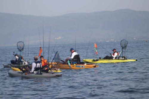 cifk_2019_077_1