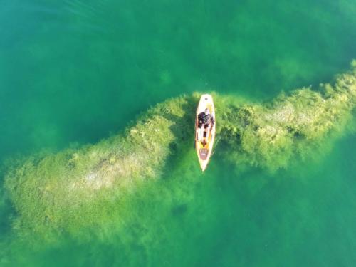 DCIM/103MEDIA/DJI_1728.JPG