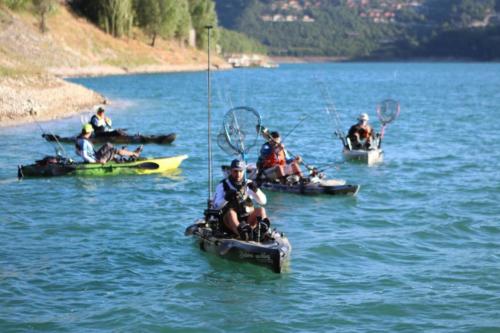 cikf_turano_2019_157