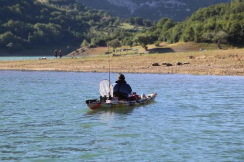 cikf_turano_2019_221