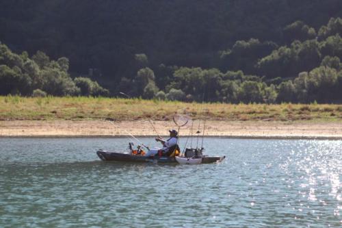 cikf_turano_2019_225