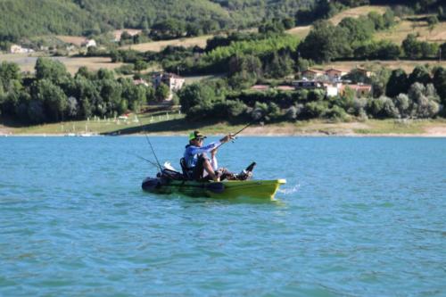cikf_turano_2019_228