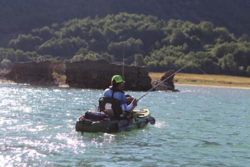 cikf_turano_2019_231